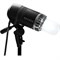 Прибор постоянного света ProDaylight 200 Air Head с мет. крышкой, матовым стеклянным колпаком и лампой - фото 106444