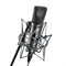 NEUMANN U 89 i - студийный микрофон, c двойной мембраной большого диаметра - фото 114792
