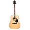 GREG BENNETT GD101S/N - акустическая гитара, дредноут, ель, цвет натуральный - фото 115942
