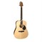 GREG BENNETT GD50/OPN - акустическая гитара, дредноут, ель, цвет натуральный - фото 115977