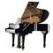 SAMICK SIG59D/EBHP - рояль, 103x153x175, 360кг, струны "Roslau"(нем.), полир., черный - фото 115980