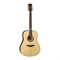 Luna Gypsy MUS - акустическая гитара, дредноут, цвет "сатин" глянец, дерев.кейс в комплекте - фото 118221