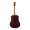 Luna Gypsy MUS - акустическая гитара, дредноут, цвет "сатин" глянец, дерев.кейс в комплекте - фото 118222