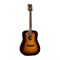 DEAN AX PDY TSB PK - комплект акустическая гитара и аксессуары, цвет табачный санбёрст - фото 119775