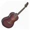 GREG BENNETT ST9-1/BS - акустическая гитара, размер 3/4,мензура 23 1/4", нато, цвет санберст - фото 122216