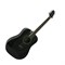 GREG BENNETT D1/BK - акустическая гитара, дредноут, нато, цвет черный - фото 123233