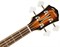 FENDER FA-450CE Bass 3T Snbrst LR 4-струнная электроакустическая бас-гитара, цвет санберст - фото 159961