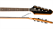 GIBSON Thunderbird Bass Tobacco Burst бас-гитара, цвет табачный берст, в комплекте кейс - фото 160029