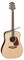 TAKAMINE G90 SERIES GD93 акустическая гитара типа DREADNOUGHT, цвет натуральный, верхняя дека - массив ели, нижняя дека и обечай - фото 161331
