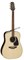 TAKAMINE G50 SERIES GD51-NAT акустическая гитара типа DREADNOUGHT , цвет натуральный. - фото 161530