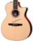 TAYLOR 814CE-N электроакустическая гитара, цвет натуральный, в комплекте кейс - фото 163076