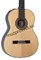 TAKAMINE TH8SS электроакустическая классическая гитара, цвет натуральный, в комплекте кейс - фото 163087