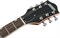 GRETSCH GUITARS G5622T EMTC CB DC ORG полуакустическая гитара, цвет оранжевый - фото 163426