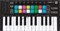 NOVATION LaunchKey Mini MK3 контроллер, 25 клавиш, 16 полноцветных чувствительных к силе нажатия пэдов, - фото 163558
