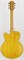 IBANEZ PM2-AA электрогитара полуакустическая, модель Pat Metheny, цвет натуральный, кейс - фото 163803