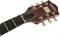 GRETSCH G6659TFM-BBN PE BKSTR JR BBN WC полуакустическая электрогитара, цвет оранжевый - фото 164415