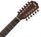 TAYLOR 356E 12-струнная электроакустическая гитара, цвет натуральный, в комплекте кейс - фото 165410