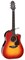 TAKAMINE CP6SSDC электроакустическая гитара, в комплекте кейс - фото 165510
