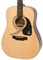 EPIPHONE DR-100 Natural акустическая гитара, цвет натуральный - фото 165924