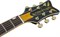 GRETSCH GUITARS G5021E-LTD RANCH PENG A/E MD SPH электроакустическая гитара, цвет Midnight Sapphire - фото 166513