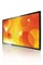 Дисплей Q-Line Philips 48" BDL4830QL/00 - фото 193990