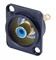 Разъем RCA панельный, гнездо, тип-D, под пайку провода, черный, синий изолятор - фото 199960