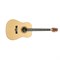 Peavey DW-1 Acoustic NAT Электроакустическая гитара с хроматическим тюнером - фото 205736