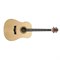 Peavey DW-2 Acoustic NAT  Электроакустическая гитара - фото 205737