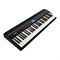ROLAND GO-61P - цифровое компактное пианино, 61 кл., 40 тембров GM, 128 полифония - фото 20614