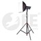 SHURE MX202W/S суперкардиоидный миниатюрный театрально-хоровой микрофон (белый) на гибком держателе(10см) с шнуром 9м - фото 29841