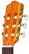 CORDOBA PROT?G? C1, классическая гитара, топ - ель, дека - махагони, цвет - натуральный, чехол в комплекте - фото 42792