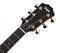TAYLOR Academy 10e Academy Series, гитара электроакустическая, форма корпуса дредноут, мягкий чехол - фото 42896