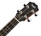 TAYLOR GS MINI-e BASS GS Mini Bass, бас-гитара электроакустическая, форма корпуса трэвл, жесткий чехол - фото 42976