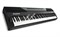 ALESIS CODA цифровое фортепиано с легкой клавиатурой синтезатерного типа - фото 58290