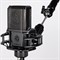 LCT440 PURE/студийный кардиоидый микрофон с большой диафрагмой//LEWITT - фото 61887