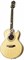 EPIPHONE PR-5E NATURAL GOLD HDWE электроакустическая гитара, цвет натуральный - фото 63240
