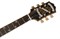 EPIPHONE Inspired by '1966' Century CH гитара полуакустическая, цвет вишневый - фото 63415