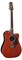 TAKAMINE PRO SERIES P5DC WB электроакустическая гитара типа DREADNOGHT CUTAWAY с кейсом, цвет - коричневый Whiskey Brown, верхня - фото 63748