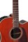 TAKAMINE PRO SERIES P5DC WB электроакустическая гитара типа DREADNOGHT CUTAWAY с кейсом, цвет - коричневый Whiskey Brown, верхня - фото 63749