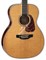 TAKAMINE TT SERIES CP7MO-TT электроакустическая гитара типа ORCHESTRA MODEL с кейсом, цвет натуральный, покрытие - глянцевое, ве - фото 63753