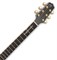 TAKAMINE TT SERIES CP7MO-TT электроакустическая гитара типа ORCHESTRA MODEL с кейсом, цвет натуральный, покрытие - глянцевое, ве - фото 63754