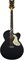 Gretsch G5022CBFE Rancher™ Falcon Jumbo Cutaway Acoustic/Electric, Fishman PU, Black Электроакустическая гитара, цвет черный - фото 63826