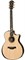 TAYLOR PS14ce Presentation Series, гитара электроакустическая, форма корпуса Grand Auditorium, кейс - фото 64755