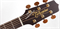 TAKAMINE PRO SERIES 3 P3DC электроакустическая гитара типа DREADNOUGHT CUTAWAY с кейсом, цвет натуральный - фото 70925