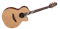TAKAMINE LEGACY TSF40C электроакустическая гитара типа NEX CUTAWAY с кейсом. цвет Gloss Natural - фото 70937