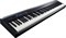 ROLAND FP-30-BK цифровое фортепиано, цвет черный - фото 72047