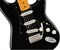 Fender Custom Shop David Gilmour Signature Stratocaster Relic, Maple Fingerboard, Black Электрогитара - фото 74007
