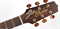 TAKAMINE PRO SERIES 3 P3MC электроакустическая гитара типа ORCHESTRA с кейсом, цвет натуральный - фото 84486