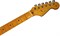 FENDER David Gilmour Signature Stratocaster NOS, Maple Fingerboard, Black электрогитара в кейсе, цвет черный - фото 84941