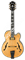 Ibanez PM200-NT гитара полуакустическая с кейсом - фото 85569